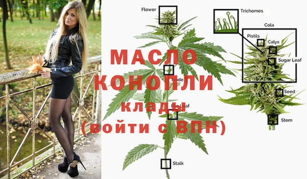 ECSTASY Армянск