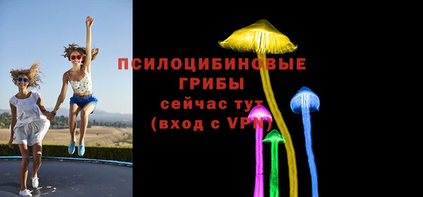 бошки Арсеньев