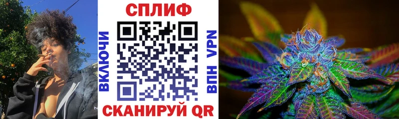 блэк спрут как зайти  Бологое  Бошки Шишки семена  наркотики 